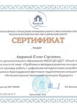Сертификат Аверина Е.С.