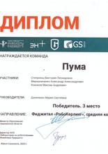 Команда МБОУ ДО ЦДТТ «Юный техник» Пума. 3 место 