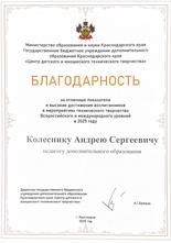 Благодарность Колесник А.С.