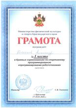 Кожанов Александр , 1 место 