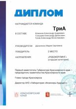 Голышев Александр, Гусев Александр, Кожанов Александр