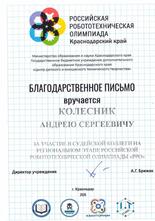 Благодарность Колесник А.С.